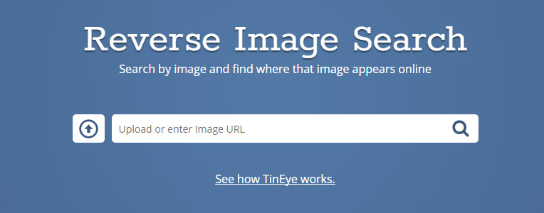 Moteur de recherche d'image inversée TinEye