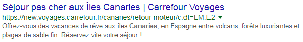 Meta description incitative Carrefour Voyages