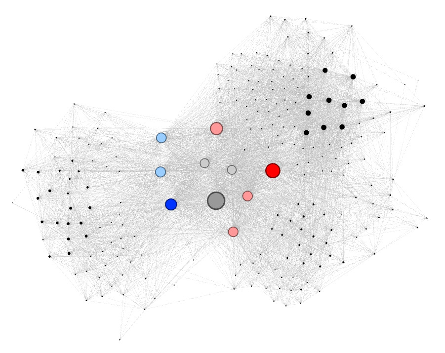 Maillage interne Gephi visualisation 1