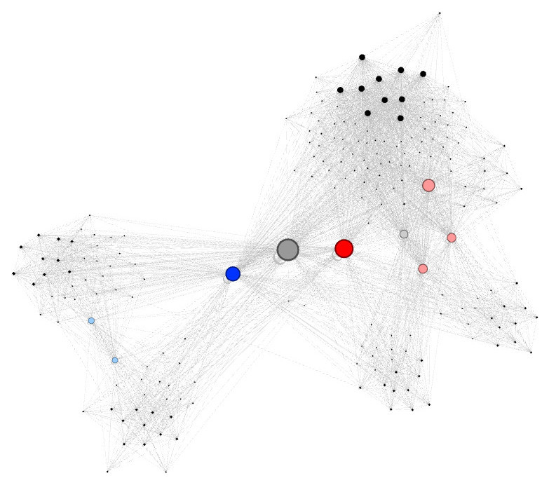 Maillage interne Gephi visualisation 4