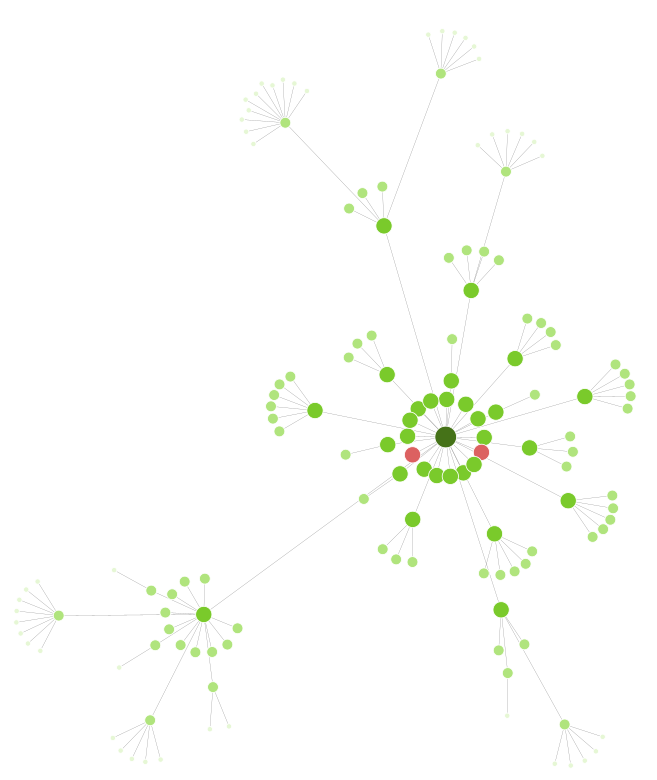 Graphe de Crawl (visualisation 2D)